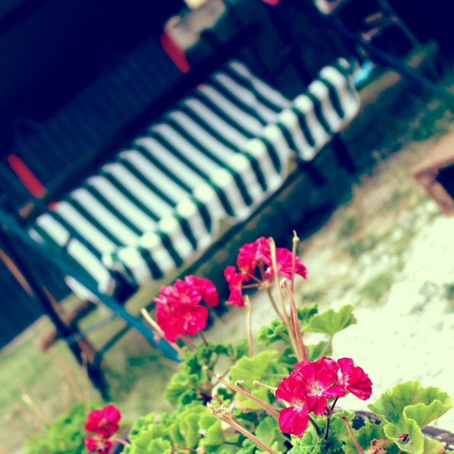 B&B Red House Garlate Bagian luar foto
